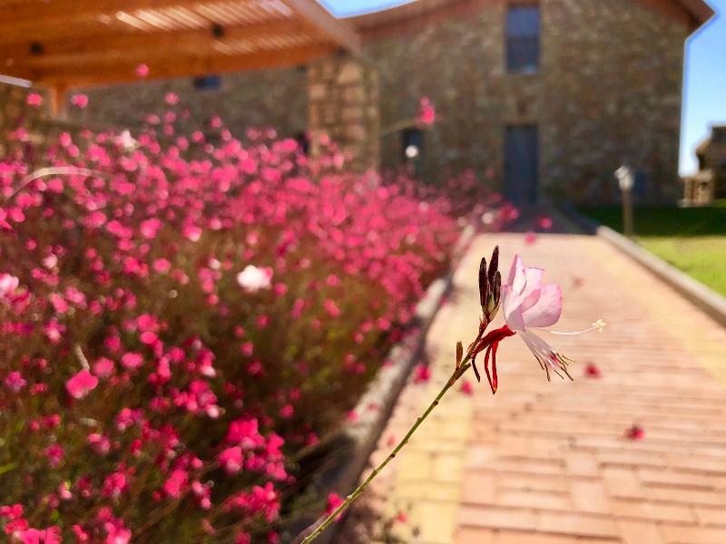 לרדוס Estrella Villas מראה חיצוני תמונה