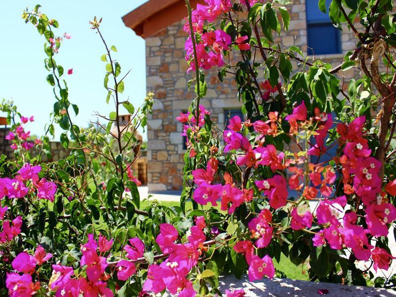 לרדוס Estrella Villas מראה חיצוני תמונה
