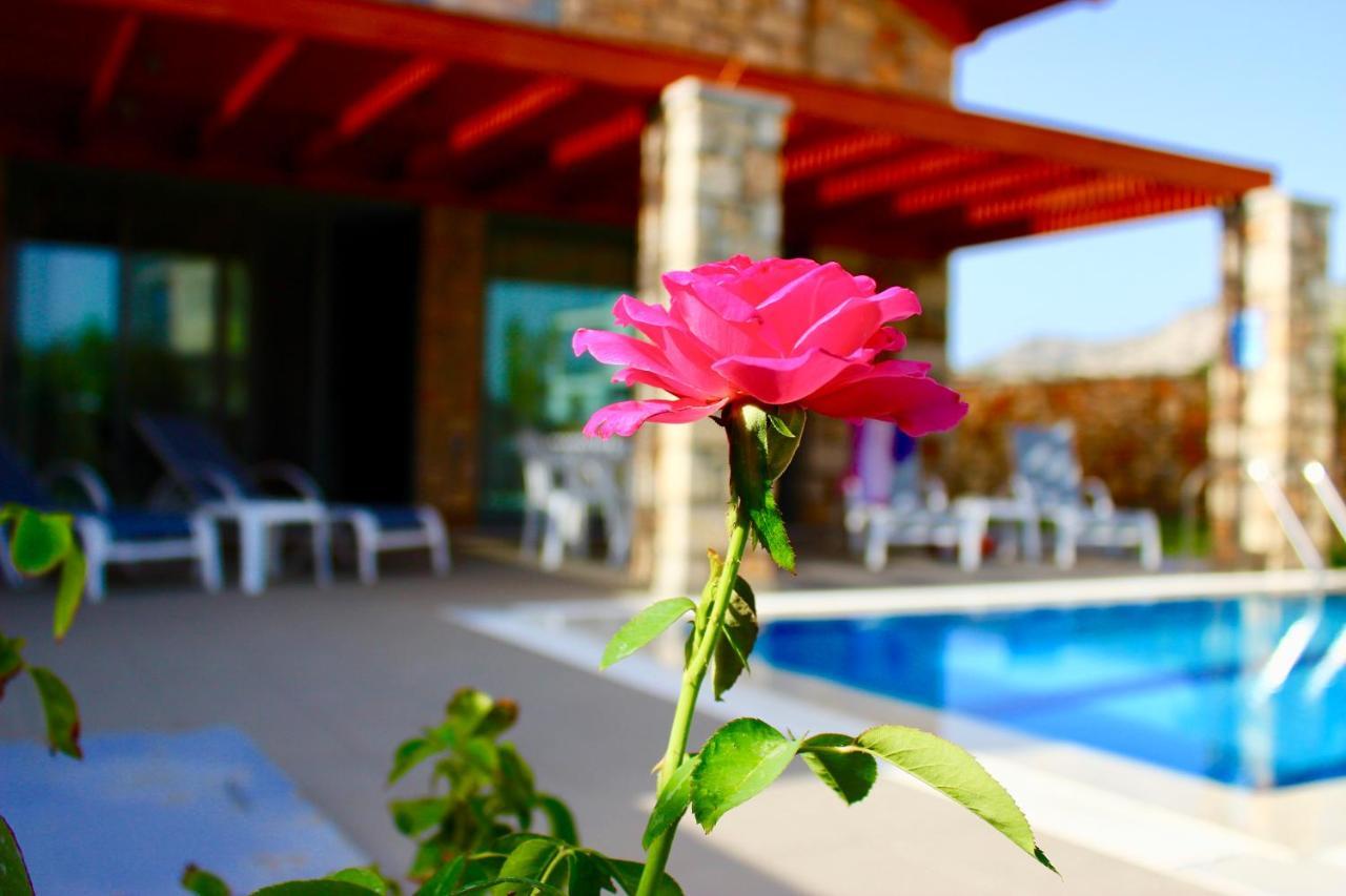 לרדוס Estrella Villas חדר תמונה